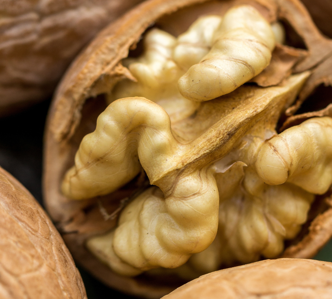 Polyphénols, oméga-3, tocophérols : les super-ingrédients de la noix décryptés