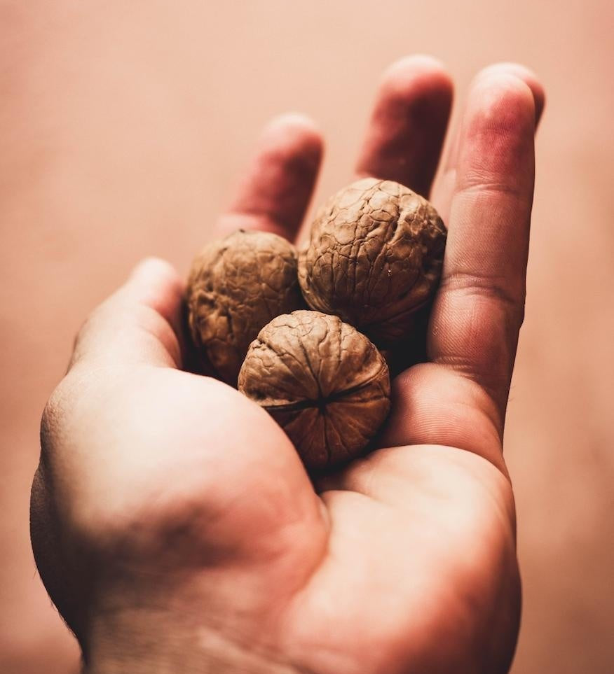 5 bienfaits des noix sur notre santé - Novëm