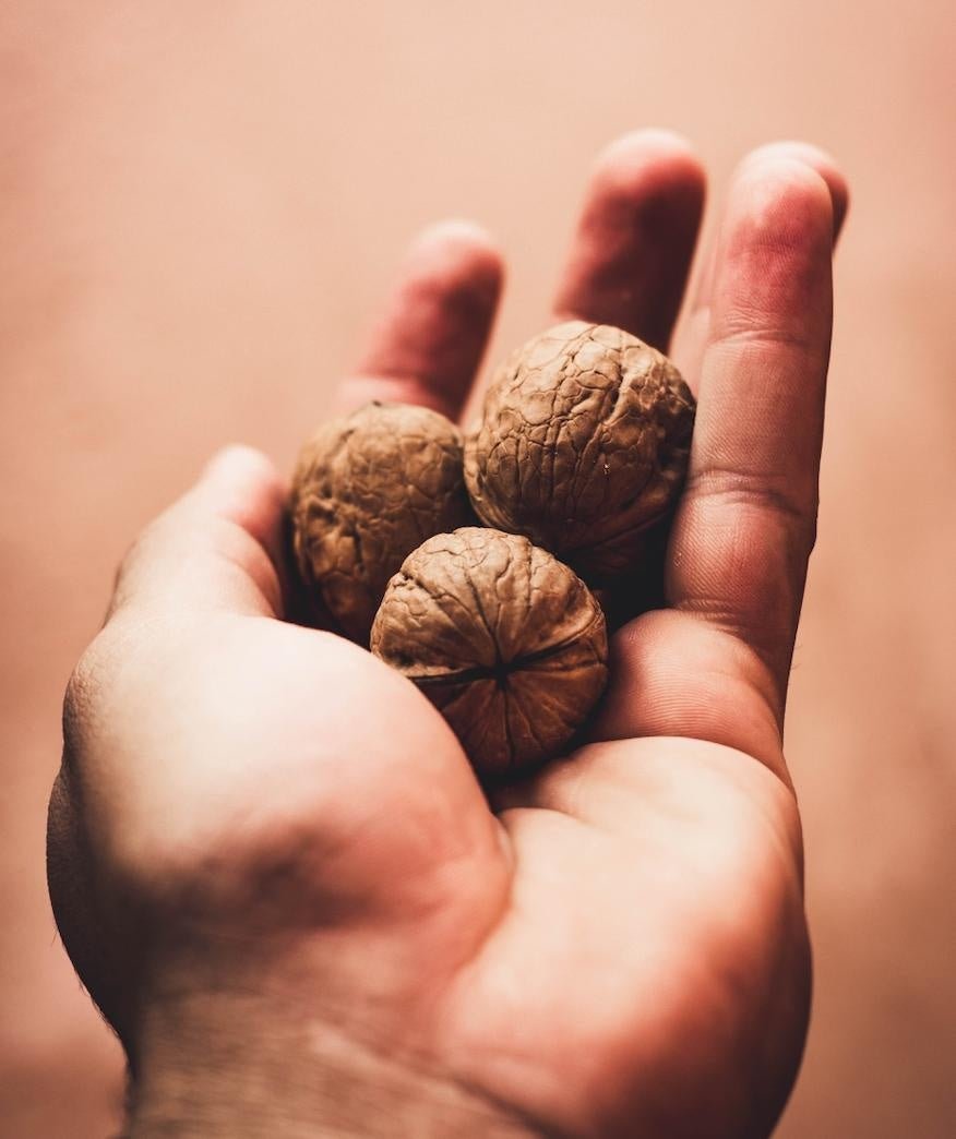 5 bienfaits des noix sur notre santé - Novëm
