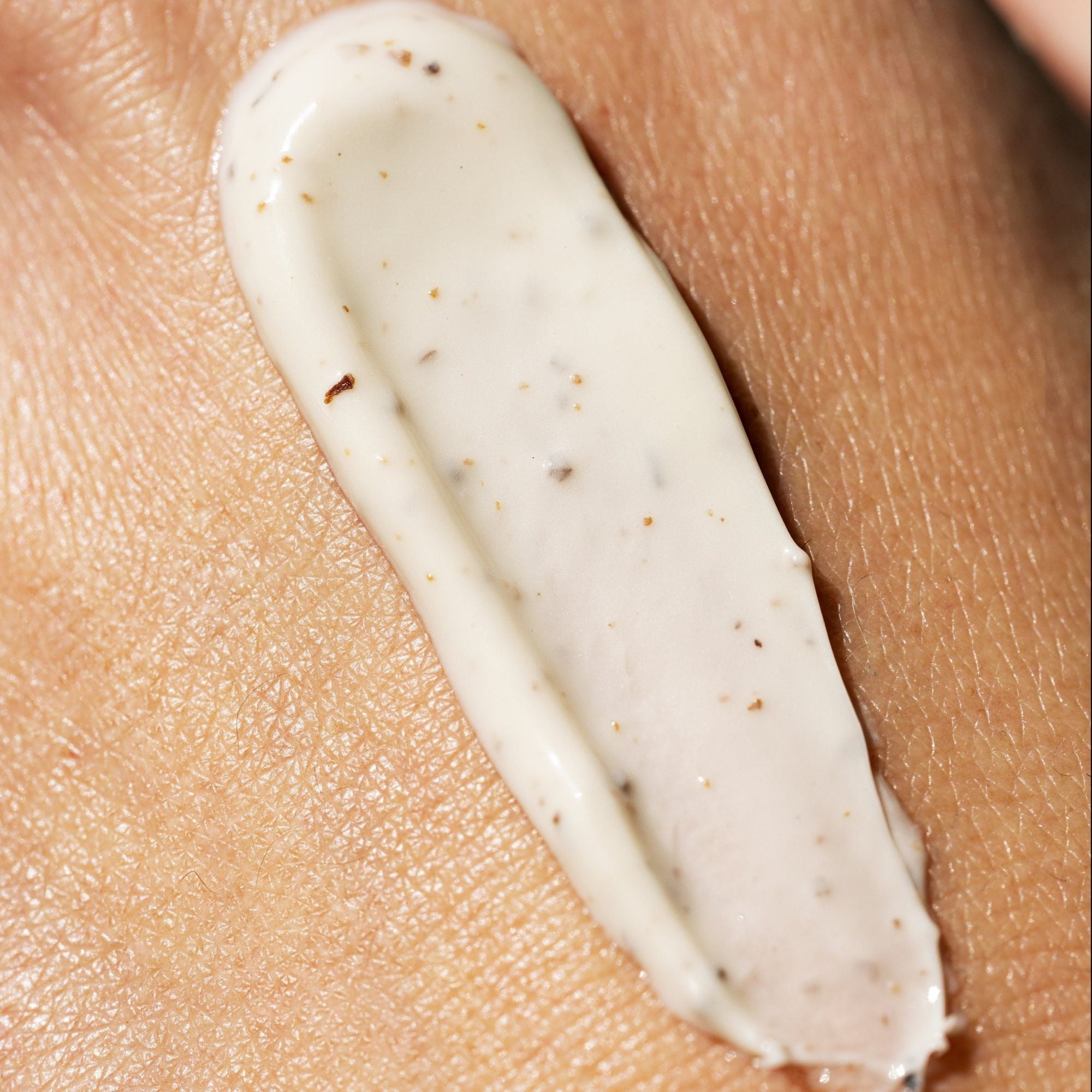 Comment utiliser la poudre de coquille de noix en cosmétique? - Novëm