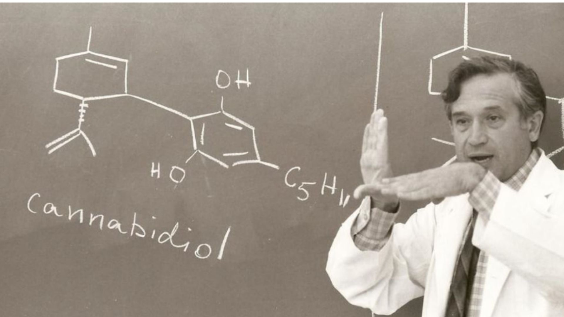 Focus ingrédient : CBD et cosmétique, une révolution ? - Novëm