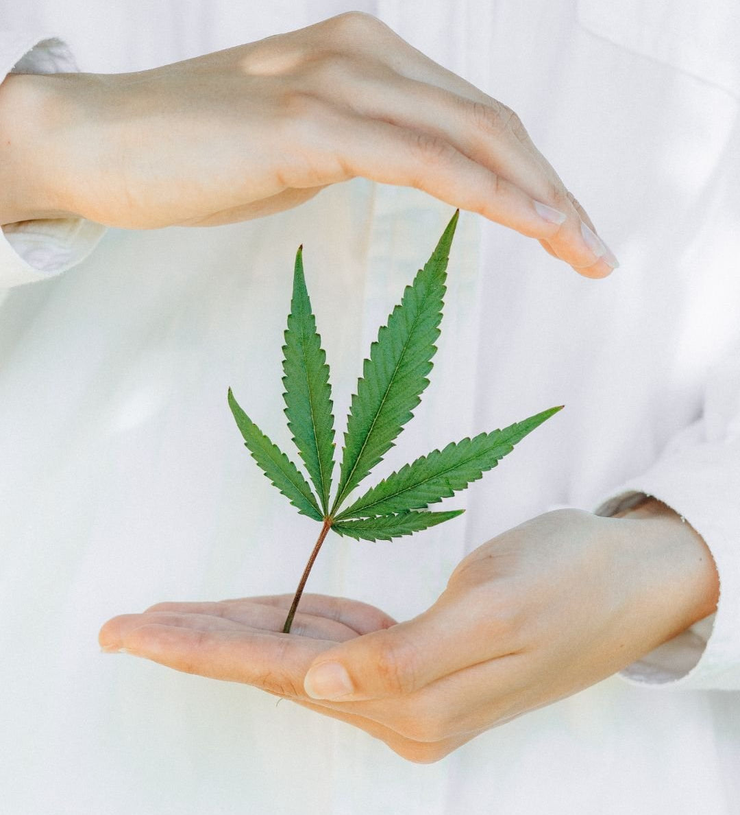 Les 5 bienfaits du CBD en cosmétique - Novëm