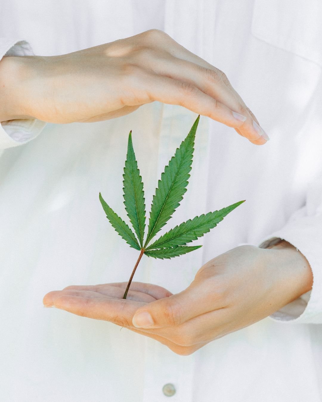 Les 5 bienfaits du CBD en cosmétique - Novëm