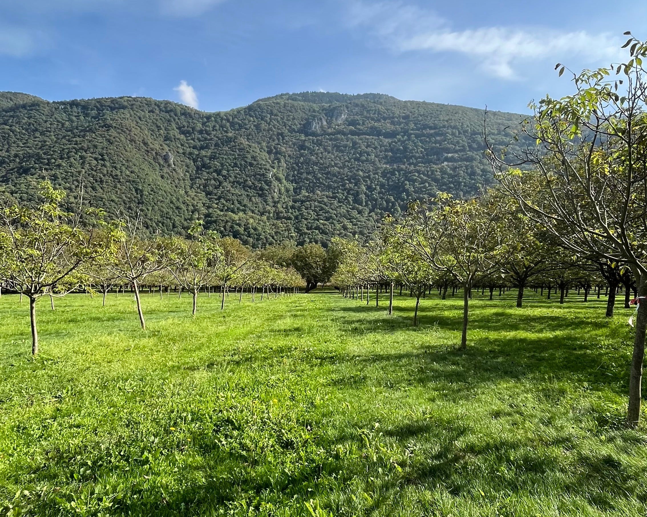 Notre journée à la Ferme Michallet - Novëm