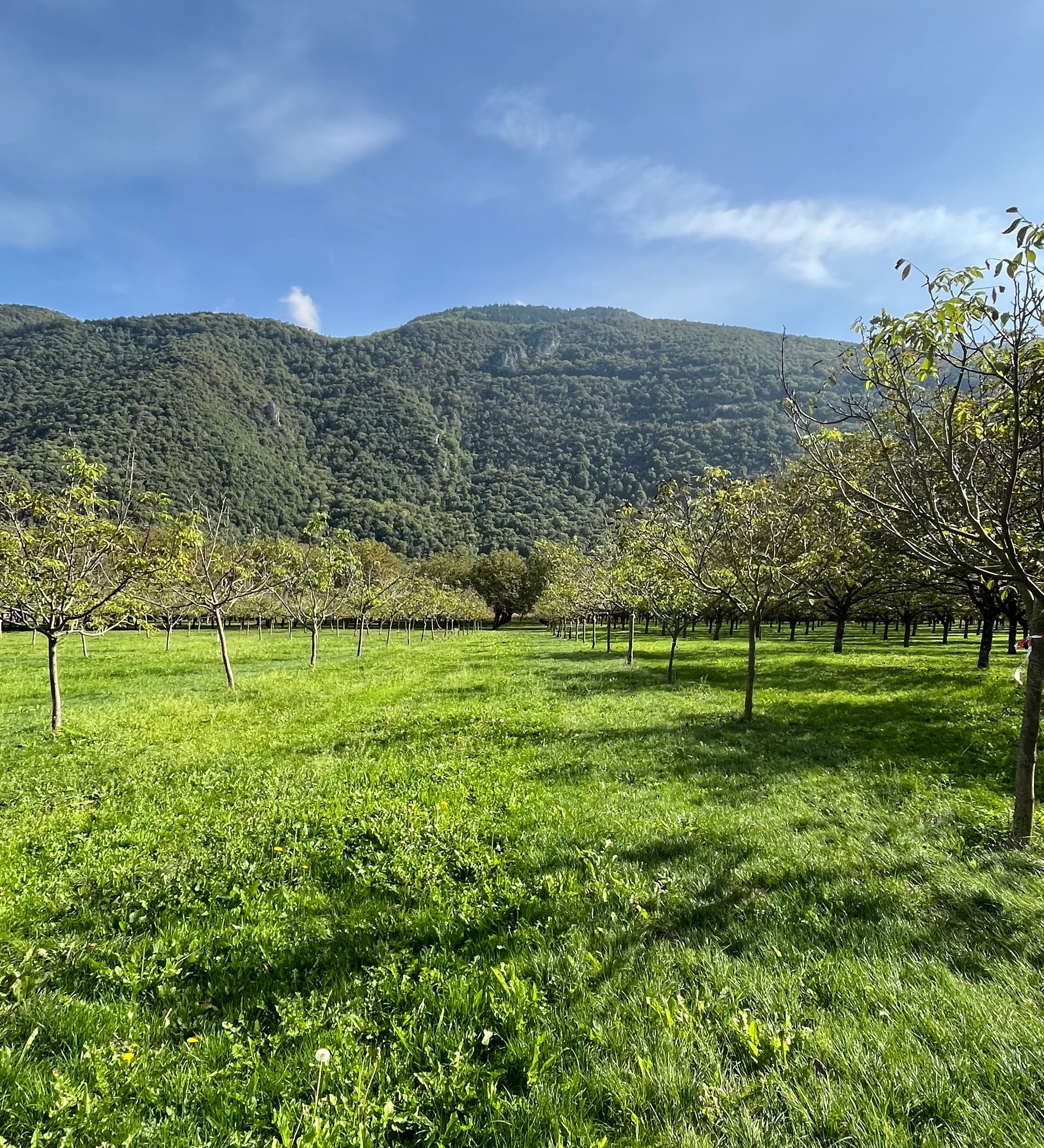 Notre journée à la Ferme Michallet - Novëm