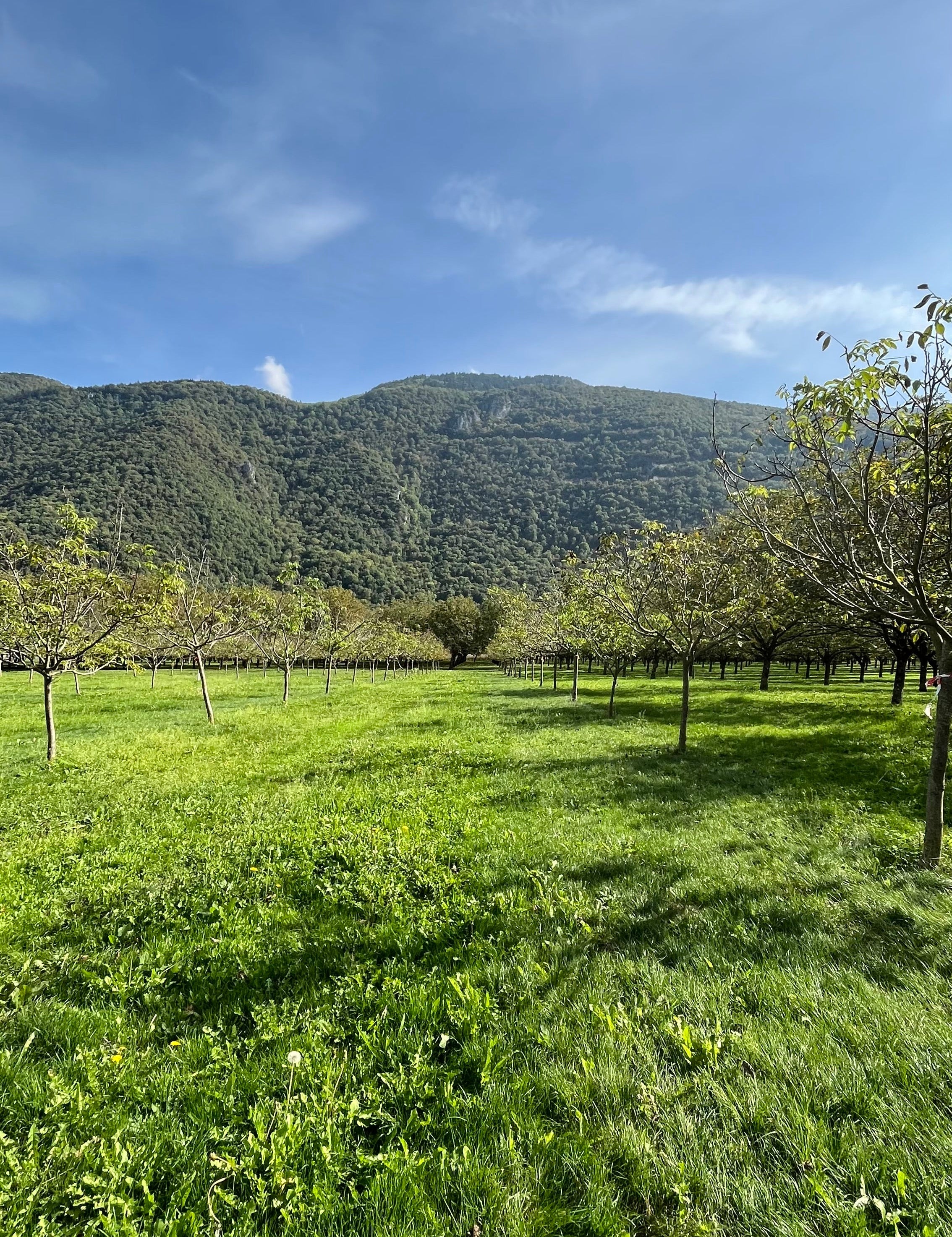 Notre journée à la Ferme Michallet - Novëm