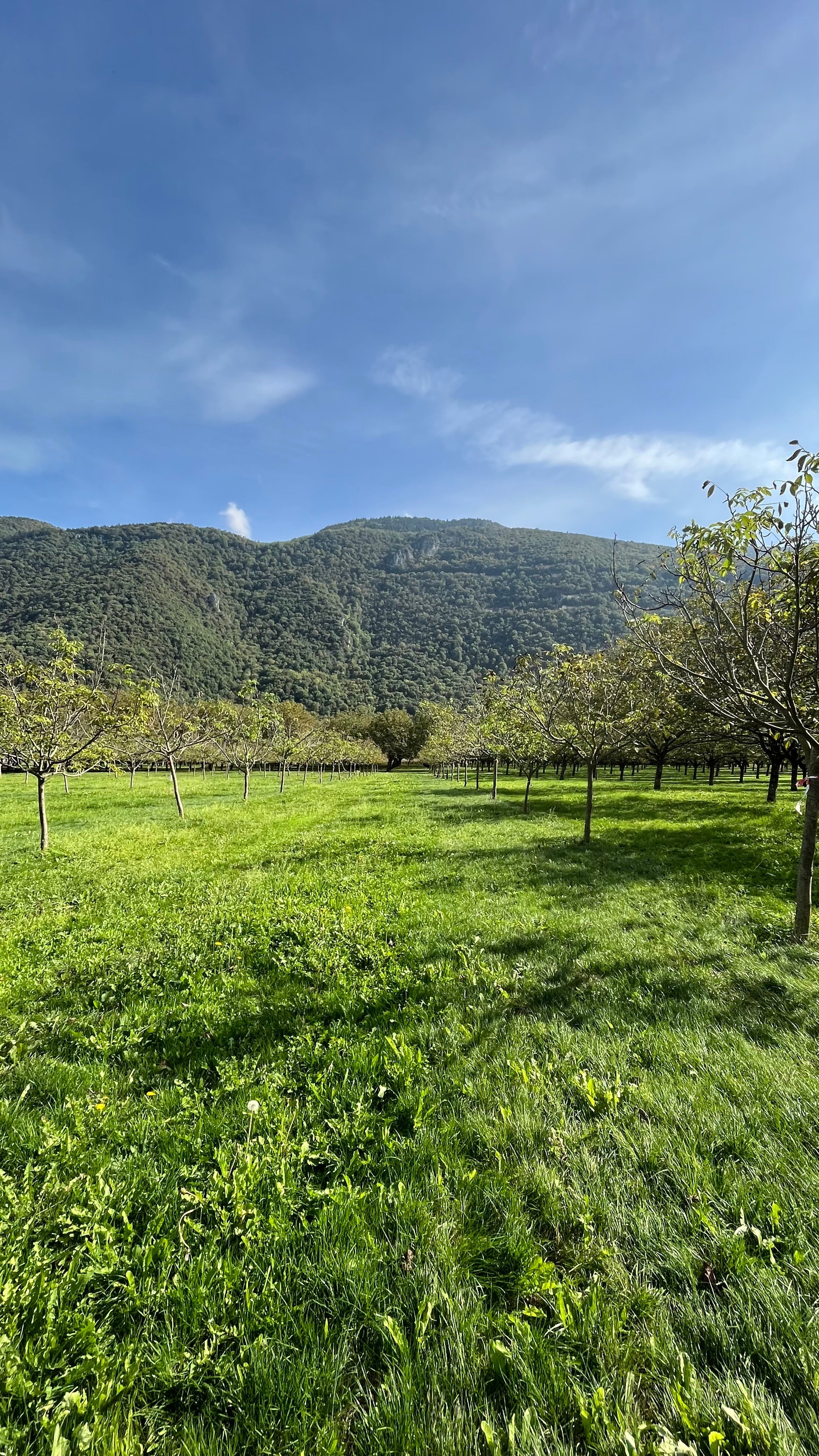 Notre journée à la Ferme Michallet - Novëm