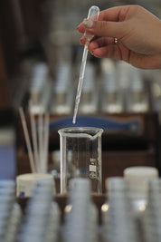 Atelier Formulation Corps – Créez votre huile naturelle (2h)