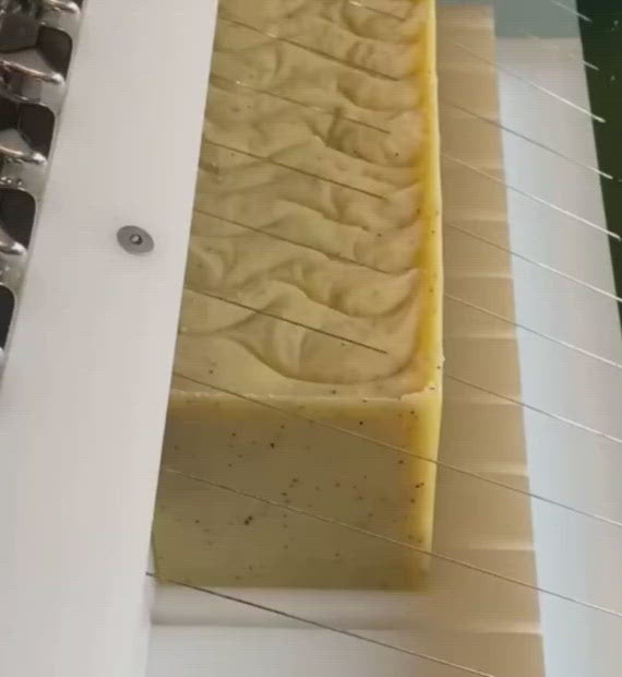 Savon Solide Exfoliant pour le Corps à la Poudre de Coquille de Noix de Grenoble