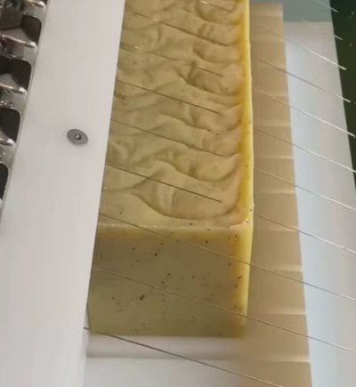 Savon Solide Exfoliant pour le Corps à la Poudre de Coquille de Noix de Grenoble
